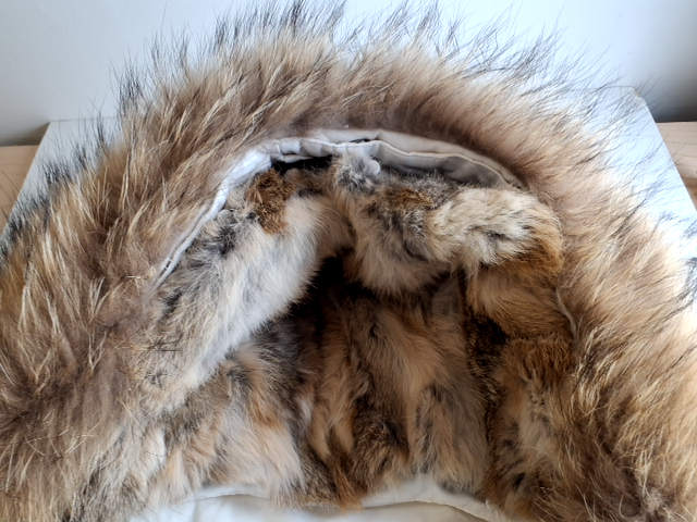 Rock and Blue Vinterfrakke